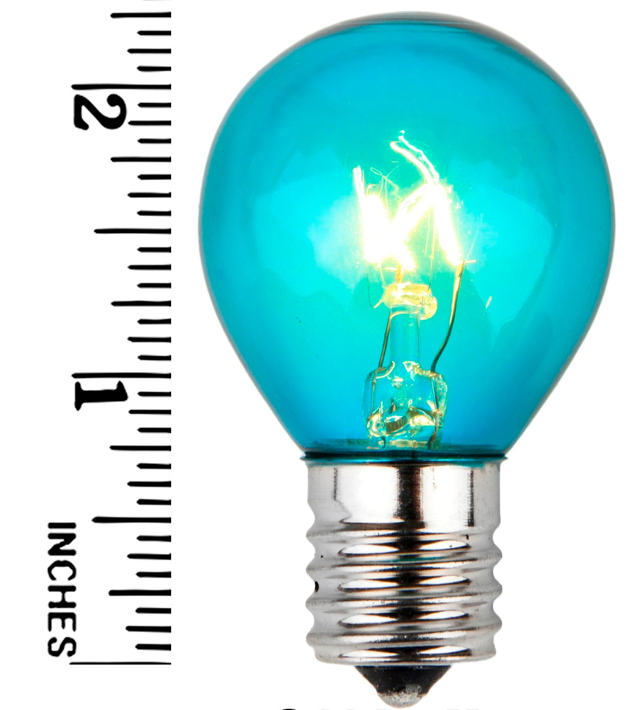 Standard Light Bulbs